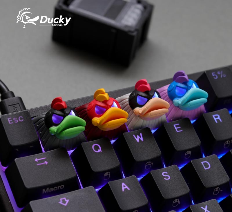 Ducky League The Bulk 客製化鍵帽 原價屋coolpc