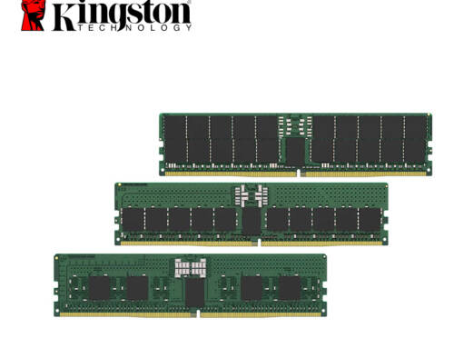 Kingston金士頓 DDR5-5600 ECC Reg【多容量可選】伺服器記憶體