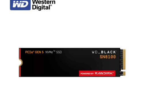 WD威騰 黑標 SN8100 M.2 PCIe 5.0 SSD 固態硬碟